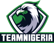team nigeria's logo